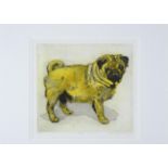 Pat Schaverien (Contemporary) ''Pug'' Signed, inscribed and dated 2000, numbered 10/40, etching