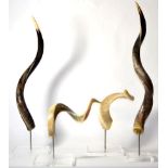 A Pair of Single Polished Greater Kudu Horns, each mounted upon a perspex stand; and A Pair of