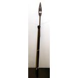 A spear with rosewood shaft and a walking cane with ebony pommel (2)