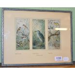 Three watercolour bird scenes depicting 'Gold Finches', 'Night Heron' and 'Blue Tits', signed F.