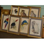 After Edward Lear, a set of seven modern ornithological prints, including three owls, two macaws