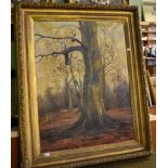 An oil on canvas depicting a woodland scene, signed C T Hollis and dated 1887