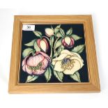 A modern Moorcroft pottery Ash Rose pattern plaque by Emma Bossons, 26/55, with painted and