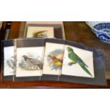 A collection of twenty three unframed 19th century hand coloured lithographs of ornithological