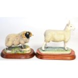 Border Fine Arts 'Border Leicester Tup', model No. L163 by Ray Ayres, limited edition 813/950, on