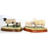 Border Fine Arts 'North Country Cheviot Ewe with Scotch Halfbred Lambs', model No. L147 by Ray