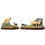 Border Fine Arts 'Stand Off' (Border Collie and Sheep), model No. B0701 by Ray Ayres, limited
