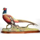 Border Fine Arts 'Autumn Glory' (Pheasant), Millennium model No. B0488 by Russell Willis, limited