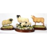 Border Fine Arts 'Blackie Ewe and Lambs', model No. B0887 by Ray Ayres, limited edition 225/1250, on