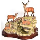 Border Fine Arts 'Monarch of Glen Mhor' (Red Stag and Hinds), model No. BFA205 by David Walton,