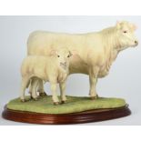 Border Fine Arts 'Charolais Cow and Calf' (Style Three), model No. B0742 by Jack Crewdson, limited