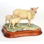 Border Fine Arts 'Charolais Ewe and Lambs', model No. L121 by Ray Ayres, limited edition 520/750, on