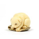 A Japanese Ivory Netsuke, Meiji period, carved as a puppy on a mat, signed Shou, 3.5cm wide