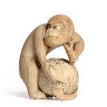 A Japanese Ivory Netsuke, 19th century, as a monkey peeling a persimmon fruit, signed Rantei, 5cm