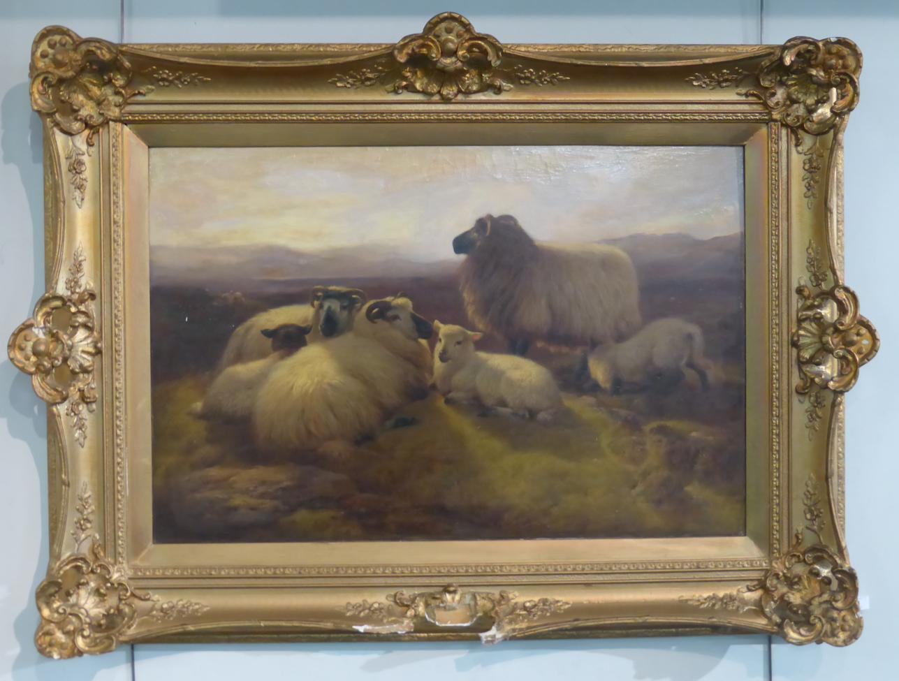 William Watson (19th century) Sheep at rest in a highland landscape Signed, oil on canvas, 59.5cm by - Image 2 of 2