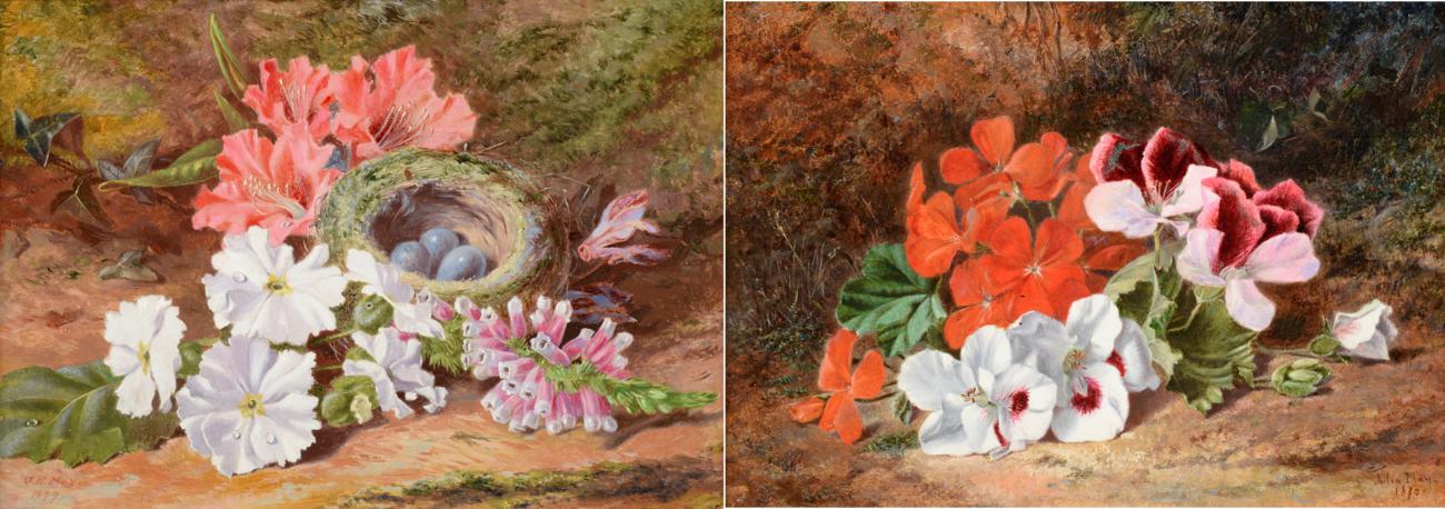 Julia May (19th century) ''Bird's Nest & Flowers'' Geranium on a mossy bank One with original