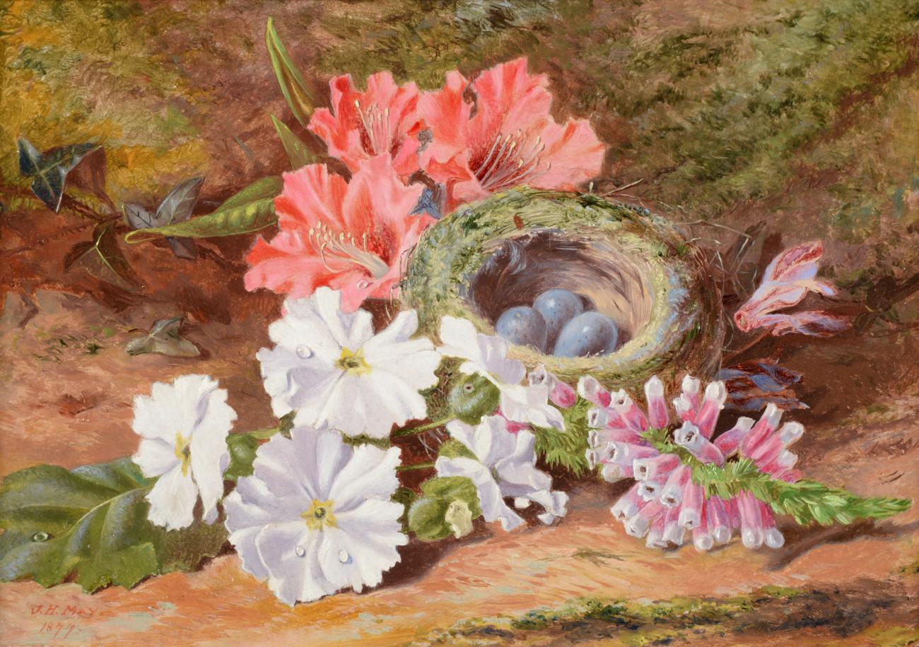 Julia May (19th century) ''Bird's Nest & Flowers'' Geranium on a mossy bank One with original - Image 2 of 3