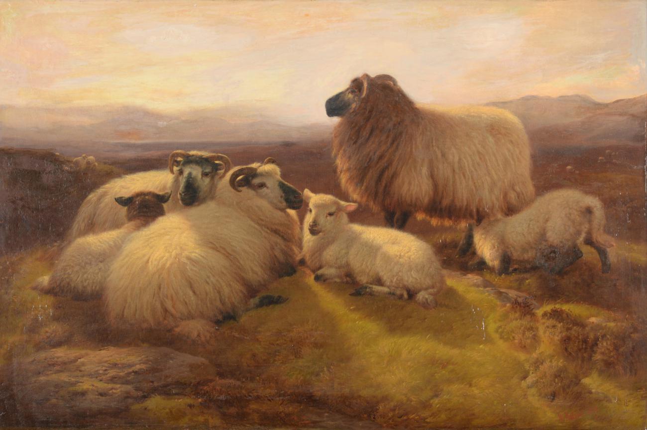 William Watson (19th century) Sheep at rest in a highland landscape Signed, oil on canvas, 59.5cm by