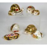 Eight Royal Crown Derby Imari paperweights comprising Old Imari snail, crab, Indian Star Tortoise,