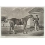 George Stubbs (British, 1724-1806) ''Eclipse, the Property of Captn OKelley'' Mezzotint with