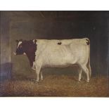 English School (19th century) Portrait of a prize cow standing in a barn. Oil on canvas, 49.5cm by