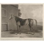 Sawrey Gilpin (British, 1733-1807) ''Pot OOOO OOOO'' Mezzotint by C H Hodges, image 370mm by 465mm