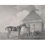 George Stubbs (British, 1724-1806) ''Eclipse'' Stipple with etching by G T Stubbs, visible image