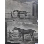 Francis Sartorius (British, 1734-1804) ''Gimcrack'' Mezzotint and etching together with a further