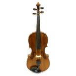 Violin 14 1/8'' two piece back, ebony fingerboard, with label 'Joannes Baptist Havelar Fecit Wien