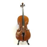 Cello 29 3/4'' two piece back, ebony fingerboard, no label, upper bout 13 3/8'', middle 9 3/8'',