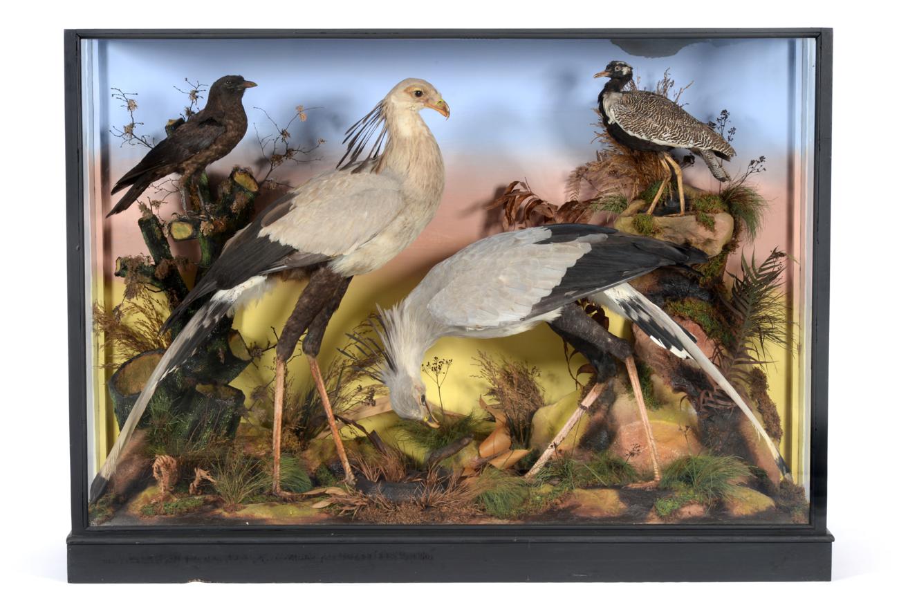 Taxidermy: A Rare Large Cased Diorama of Birds Endemic to Africa, circa 1865-1880, by Ashmead &