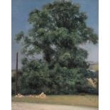 Theodore Roussel (1847-1926) French Trees in a landscape Signed, oil on canvas, 79cm by 63.5cm See