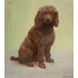 Florence Mabel Hollams SWA (Mrs C L Fox) (1877-1963) ''Poo'' Signed and dated (19)49, oil on