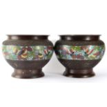 A Pair of Chinese Cloisonné Enamel Jardinières, late 19th century, of ovoid form, decorated with a