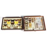 Entomology: A Collection of Various Butterflies Native to Russia, circa late 20th century, 74
