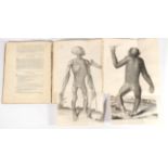 Tyson, Edward Orang-Outang, Sive Homo Sylvestris or, the Anatomy of a Pygmie Compared with that of a