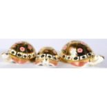 Royal Crown Derby Imari paperweights, The Yorkshire Rose Tortoise Family, Father, Mother and Baby,