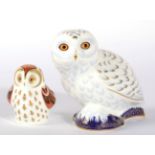 Royal Crown Derby Imari paperweights, Snowy Owl and Owlet