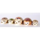 Royal Crown Derby Imari hedgehog paperweights comprising: Hawthorn, Bramble, Orchard, Ivy and