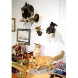 Taxidermy: Countryside Birds and Animal, including a Red Fox full mount, stood upon a faux rock base