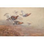 William Woodhouse (1857-1939) Grouse in flight Signed, watercolour, 35cm by 53cm see illustration
