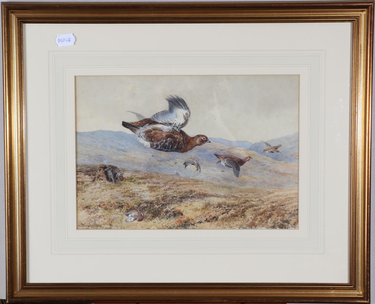 William Woodhouse (1857-1939) Grouse Shooting Signed, watercolour, 25cm by 37cm - Image 2 of 3