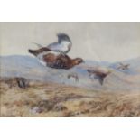 William Woodhouse (1857-1939) Grouse Shooting Signed, watercolour, 25cm by 37cm