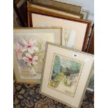 Framed watercolour paintings with some prints