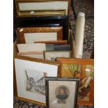 Fifteen various framed engravings & prints