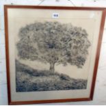 Richard Sloat (b.1945-), American, etching study of a tree, 17" x 17" plate size, signed in pencil