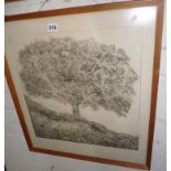 Richard Sloat (b.1945), American, etching study of a tree, 17" x 17" plate size, signed in pencil