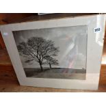 Black and white photograph of field with trees titled "Breath of Spring" by Maurice S. Bishop A.R.