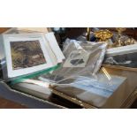 Large quantity of 19th c. engravings, bird prints etc