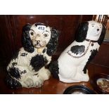 Staffs black and white King Charles spaniel and another